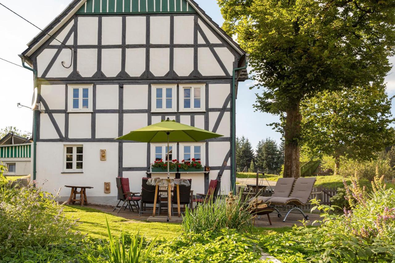 Ortmanns Eulennest Villa Finnentrop Bagian luar foto