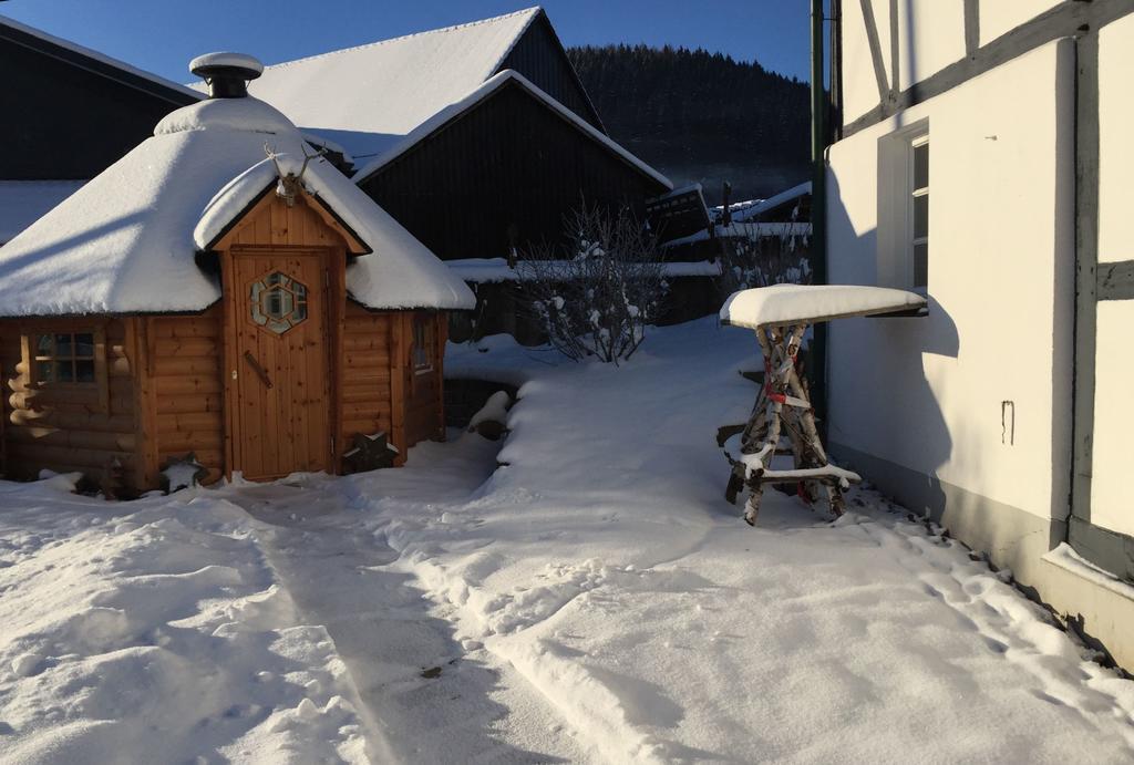 Ortmanns Eulennest Villa Finnentrop Bagian luar foto