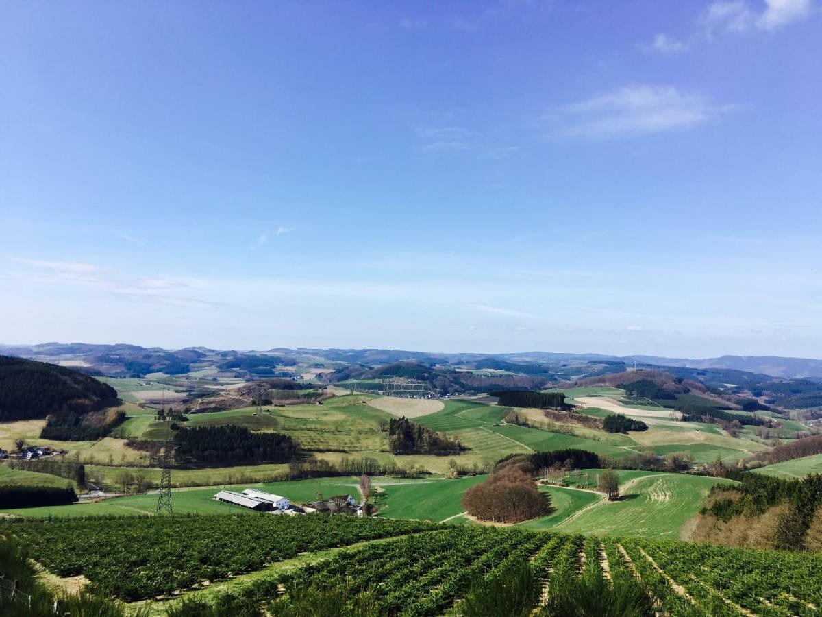 Ortmanns Eulennest Villa Finnentrop Bagian luar foto